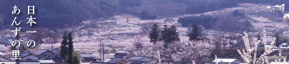 日本一のあんずの里